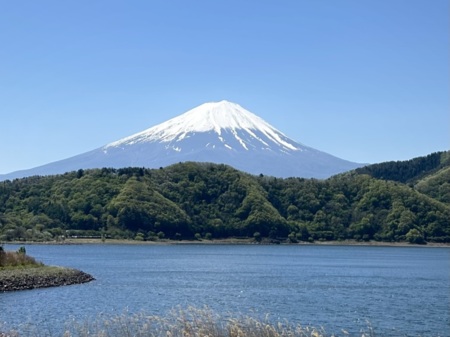 四季帖前の湖畔から見る富士山