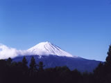 和洋室からの富士山の眺望