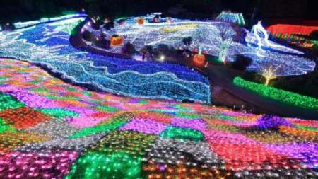 グランパル公園のイルミネーション