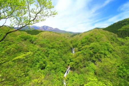 宿周辺は自然豊かな名所もございます。