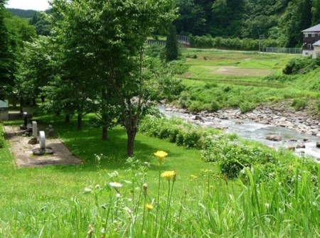 関川水辺の公園、この流れにも、、