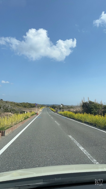 菜の花のフラワーライン
