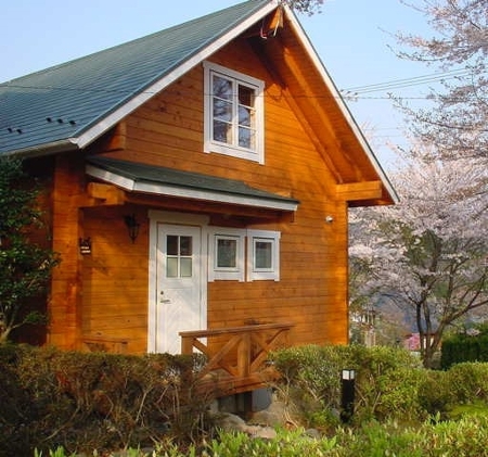 春は桜に囲まれます。