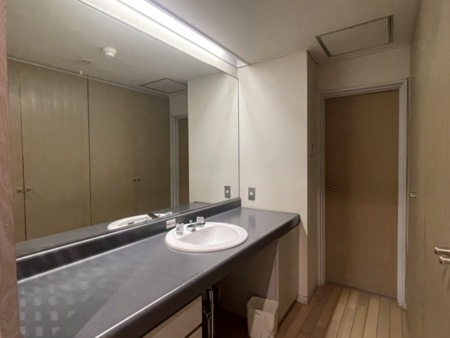 客室（洗面台、トイレ奥）