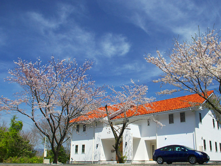 コンドミニアム　静かな湖畔の外観