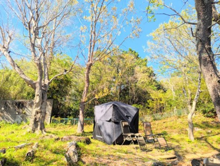 室内の焼肉に煙が出にくいザイグル2台