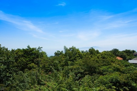 3階テラスから、大島を臨む