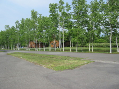 白樺が映える美しい園内