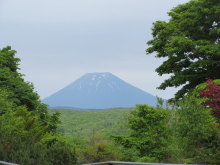 緑の大地に育まれた大自然を肌で感じる
