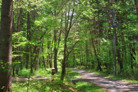 ラナの家の入り口