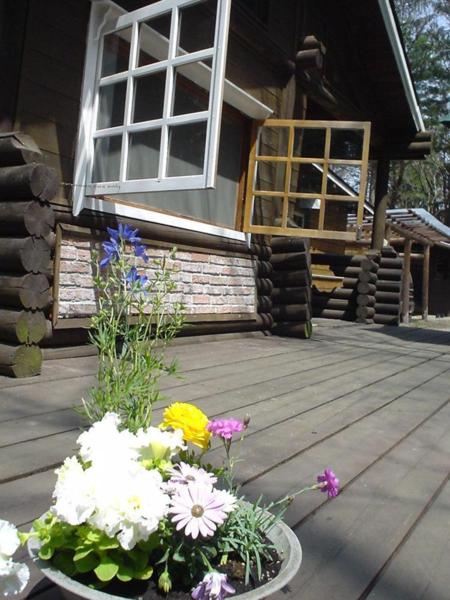 どんぐり棟のテラス