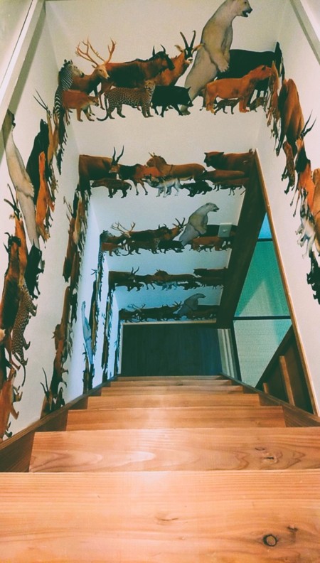 3階へつづく・・・ひみつの階段