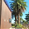 椰子の木が南国ムードをたっぷり演出