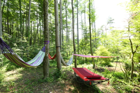 こもれ日の森でハンモックが気持ちいい！