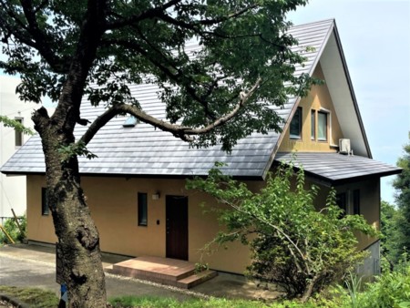 シンボルツリー