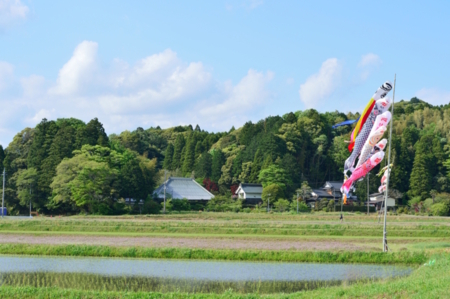 里山に囲まれた一棟貸し宿まるがやつ