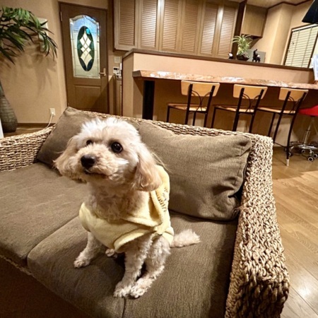 当施設看板犬まるくん
