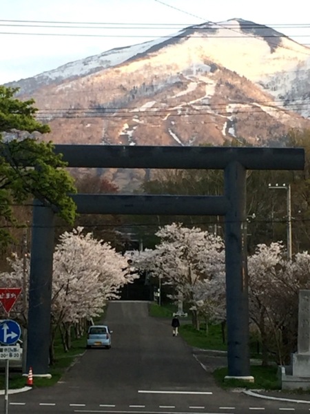 岩内神社⛩