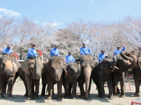 小さめの卓球台、事前予約ください！