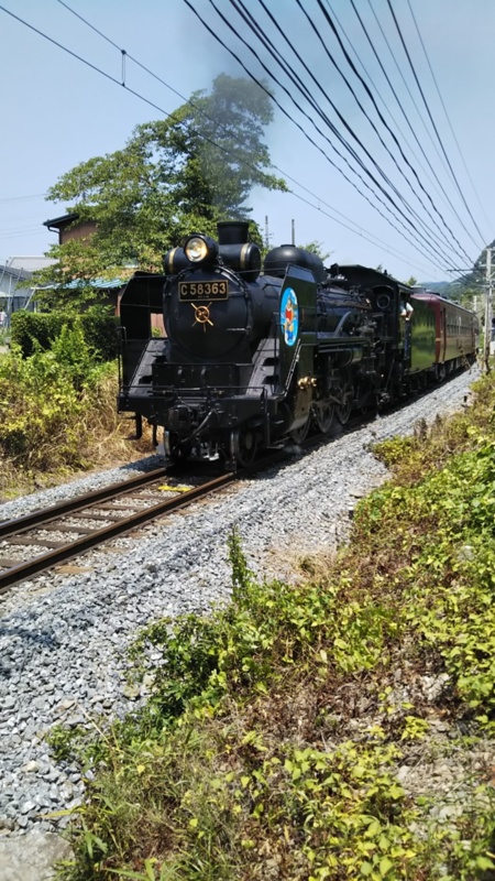 施設から徒歩３０秒の場所で見られます。