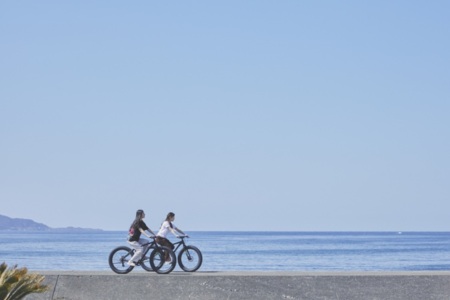 ペットと一緒に海辺を散歩できます。