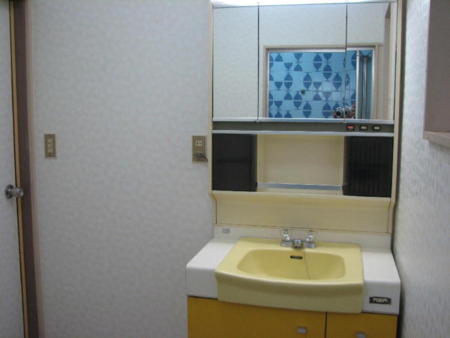 １階２階に洗面化粧台が完備。ドライヤー有