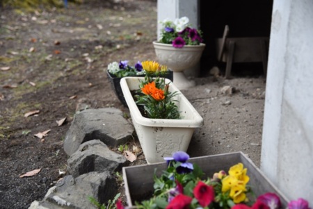 季節の花がお迎え