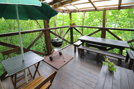 【もみじ】標高1000ｍの深ーい緑