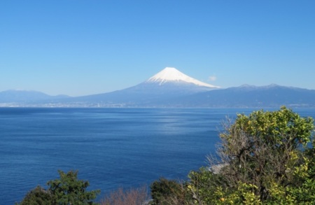 富士山と駿河湾が望める大型ログハウス/西伊豆フリージアガーデン