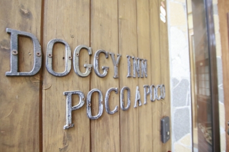 DoggyinnPocoaPoco