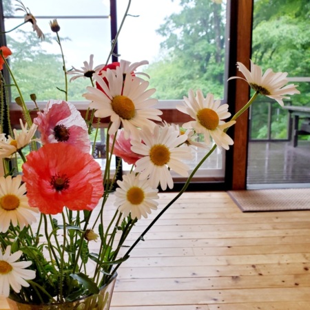 室内のお花┃季節の花々が季節を教えてくれ