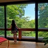 大きな窓┃迫力ある森の景色を独り占め