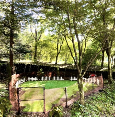 ポーラーリゾート南軽井沢１　with DOG 写真12