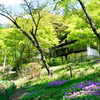 ポーラーリゾート南軽井沢1