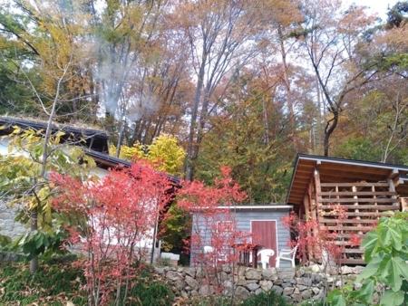 山里の紅葉は通常10月中旬から