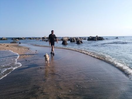 車で10分の人気の根本海岸海水浴場