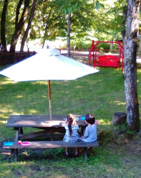 100坪のドッグランで大型犬もOK