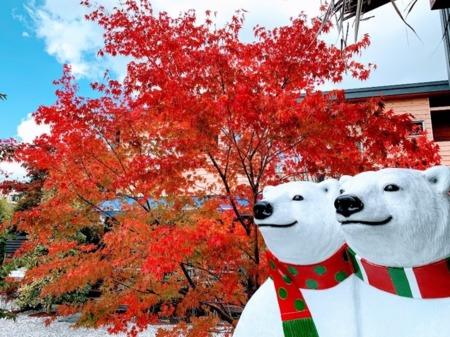 秋のシロクマ
