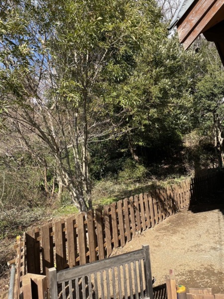 ドックラン※小型犬におすすめ