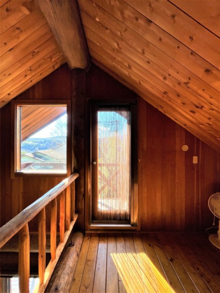 緑に囲まれたロケーション