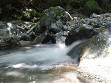 渓流釣りを楽しむことも出来ます