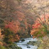 紅葉時期　道志川の景色