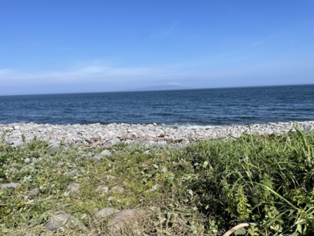 レッツフィッシング