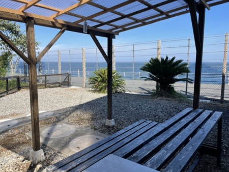 ワンちゃんもオーシャンビュー！