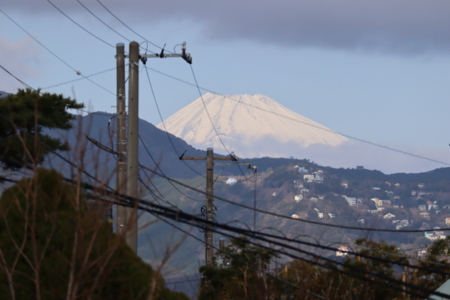 芝生ガーデンからの富士山