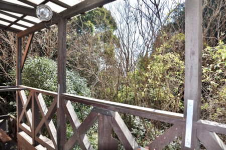 緑に囲まれたロケーション