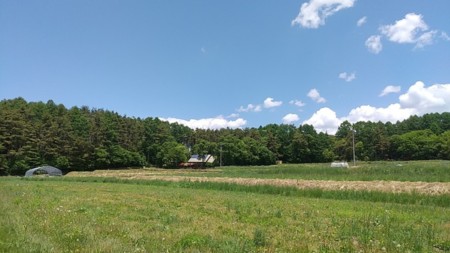 周辺に建物はありません