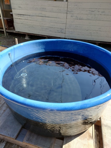 満点の星空の下でＢＢＱをお楽しみ下さい
