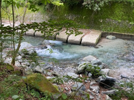 建物目の前には道志川、浅瀬で泳げる