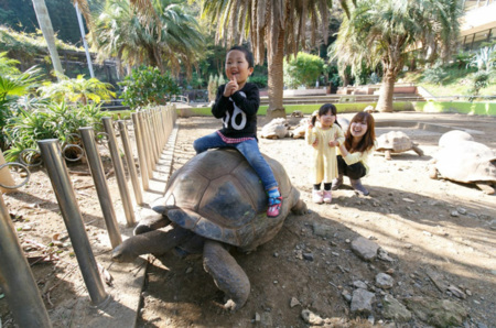 子供に人気！体感動物園iZoo　車10分